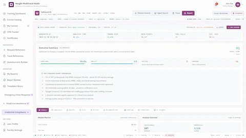 Executive Summary - Overall compliance score, key findings with NMBI verification stats, mission metrics, and analysis overview with professional counts